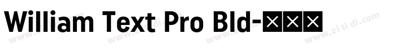 William Text Pro Bld字体转换